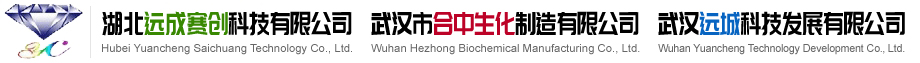 湖北远成赛创科技有限公司